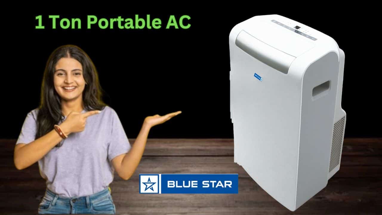 Blue Star Portable AC 1 Ton price