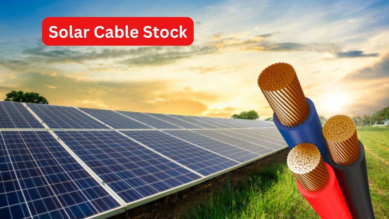 Dynamic Cables hits upper circuit of 20 percent